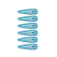 Snap Clip (6 Count) - Summer Sky