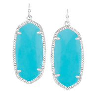 4217701749 - Elle Rhodium Drop Earrings in Turquoise