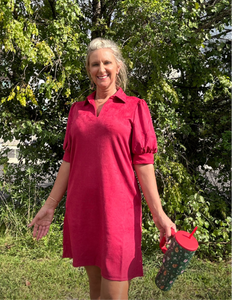 Suede Collared Dress - Burgundy