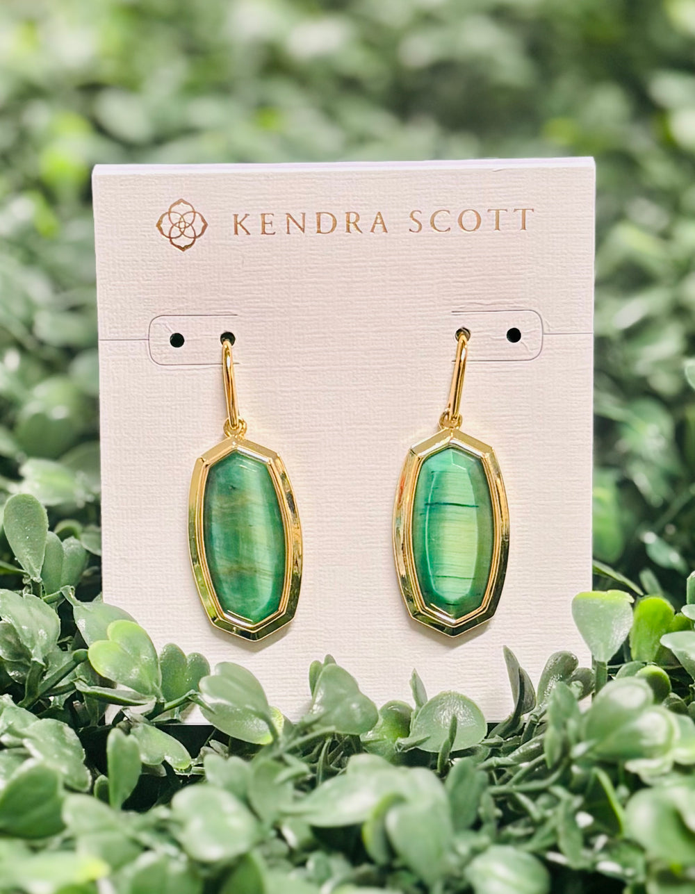 Dani Bezel Gold Drop Earrings in Green Tigers Eye