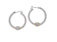 G2936-A000 Small, G2775-A000 Large - Oval Link Collection - Twisted Wire Hoop Earrings
