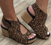 Frisky - Leopard
