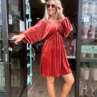 Clay Velvet Puff Sleeve V-Neck Dress