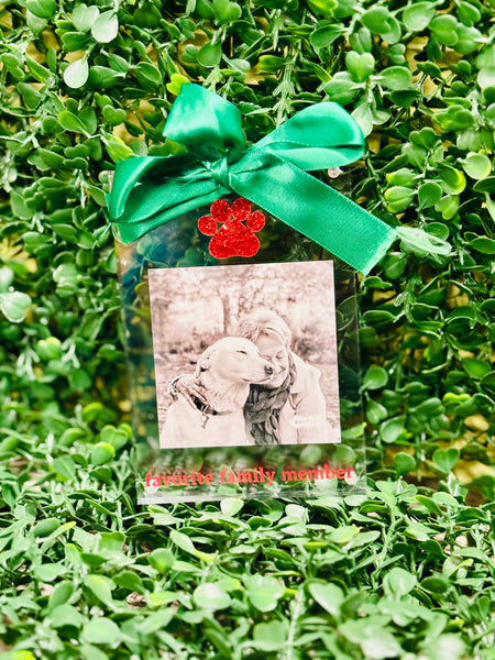 Acrylic Photo Ornament - Favorite Family Member