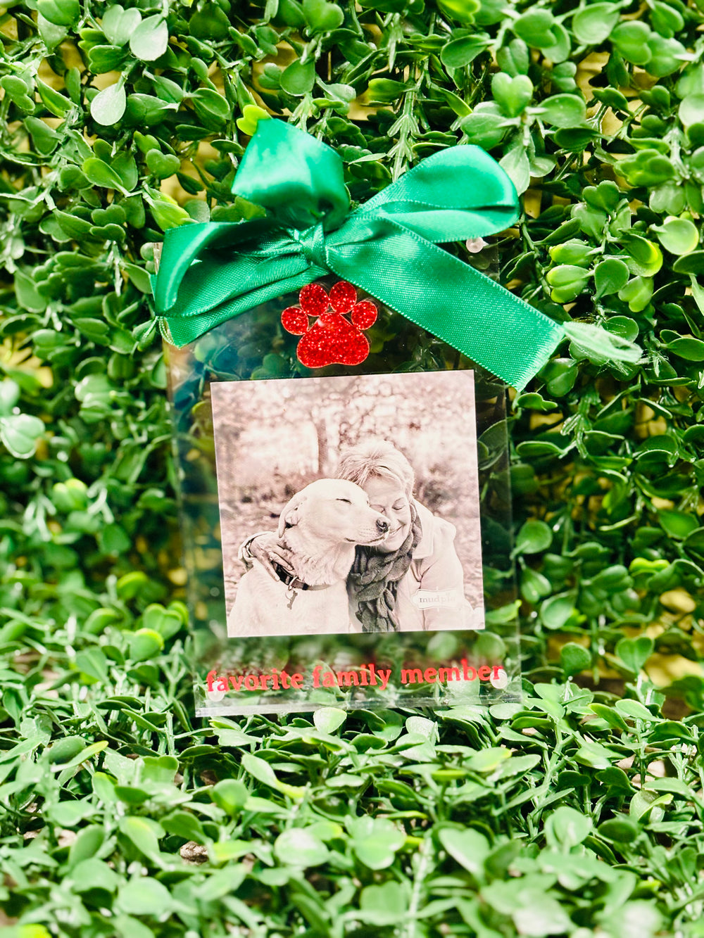 Acrylic Photo Ornament - Favorite Family Member