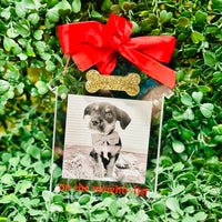 Acrylic Photo Ornament - On The Naughty List