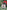 Acrylic Photo Ornament - Santa's Favorite