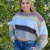 Cropped Stripe Sweater - Plum