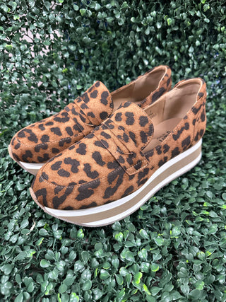 Sheesh - Leopard