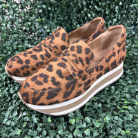 Sheesh - Leopard
