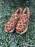 Sheesh - Leopard
