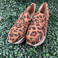 Sheesh - Leopard