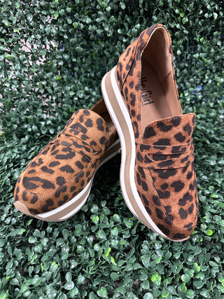 Sheesh - Leopard
