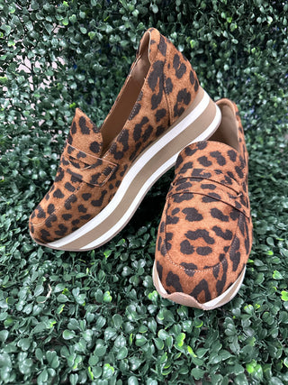 Sheesh - Leopard