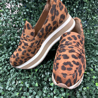 Sheesh - Leopard
