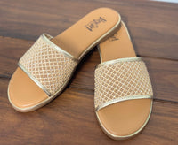 Just Meshin With Ya Sandal - Gold
