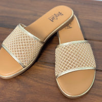 Just Meshin With Ya Sandal - Gold