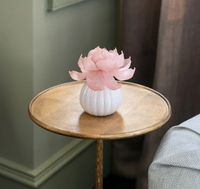 Sweet Grace is in season all year long with the Sweet Grace Flower Diffuser! Enjoy the fragrance of Sweet Grace as well as the beauty of a flower as it turns pink and blooms over the course of 60 days.
