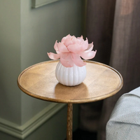 Sweet Grace is in season all year long with the Sweet Grace Flower Diffuser! Enjoy the fragrance of Sweet Grace as well as the beauty of a flower as it turns pink and blooms over the course of 60 days.