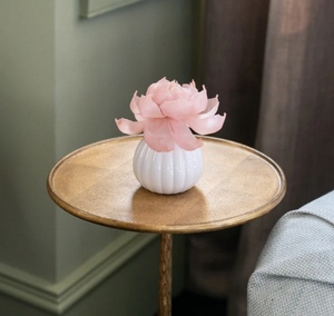 Sweet Grace is in season all year long with the Sweet Grace Flower Diffuser! Enjoy the fragrance of Sweet Grace as well as the beauty of a flower as it turns pink and blooms over the course of 60 days.