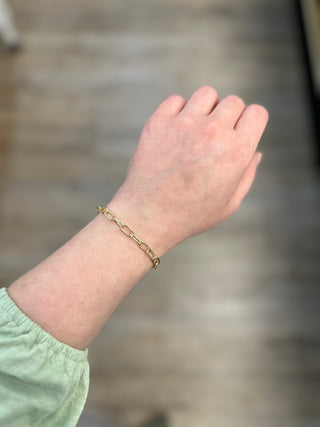 Daphne Link Chain Bracelet in Gold Variegated Turquoise