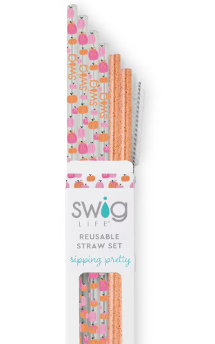 Pumpkins and Bows Reusable Straw Set