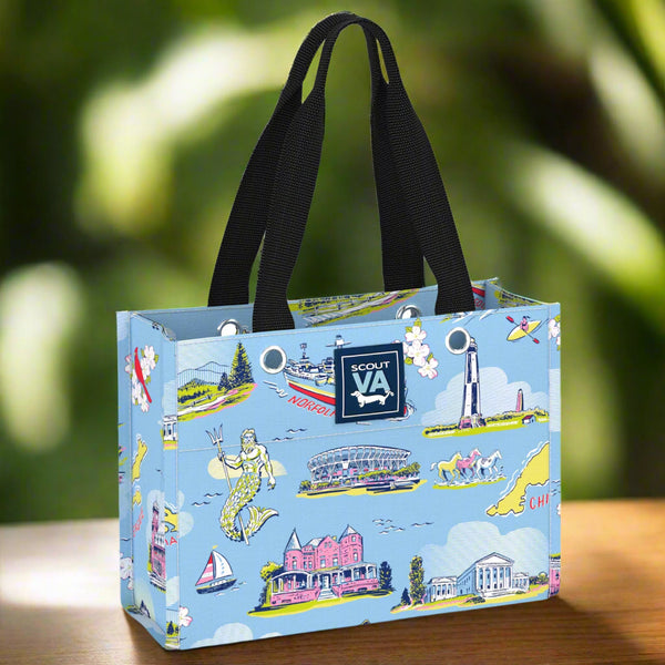 Scout Bags 
Tiny Package Virginia 