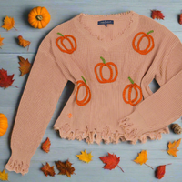 Knit V-Neck Sweater - Pumpkin