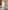 Swig Virginia_22oz_Tumbler