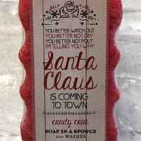 Santa Claus Candy Cane Soap in a Sponge