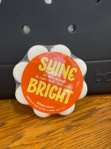 Shine Bright Soap in a Sponge